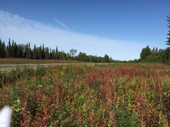 63767 Oil Well Rd, Ninilchik, AK 99639